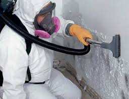 Mold Documentation for Insurance Claims in Fayette, MO